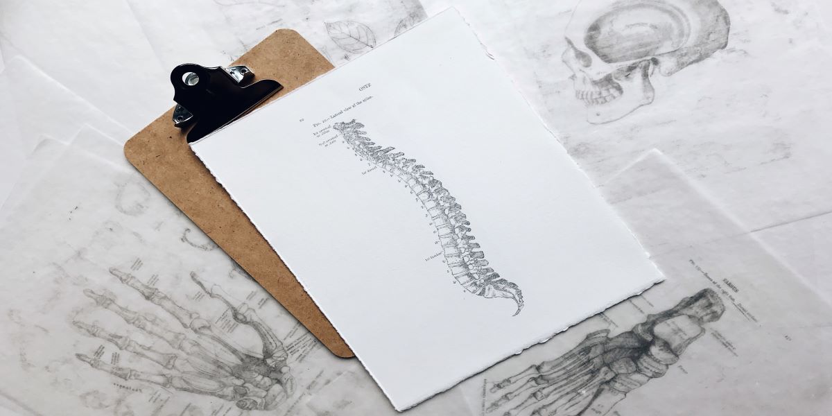 Chiropractic Care | Back Pain | Clayton Heights 188 St Physiotherapy and Sport Injury Clinic